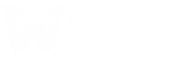 Metamorphosis Face Painting